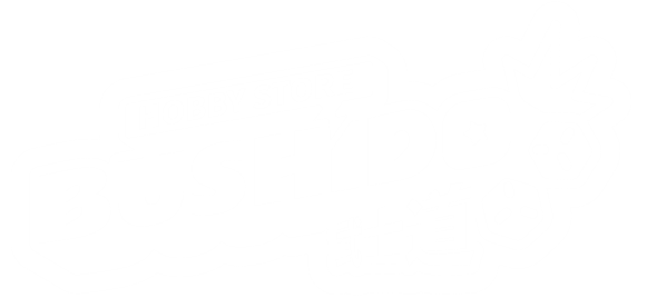 bushido logo